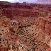 Capitol Reef NP 6